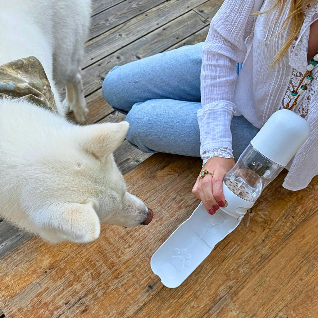 Tilley + Me Travel Dog Water Bottle & Treat Holder – 350mL